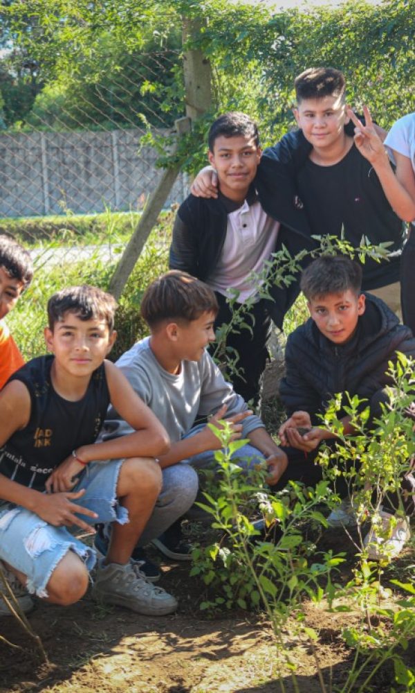 CARRUSEL ESCUELAS POR EL AMBIENTE (1)