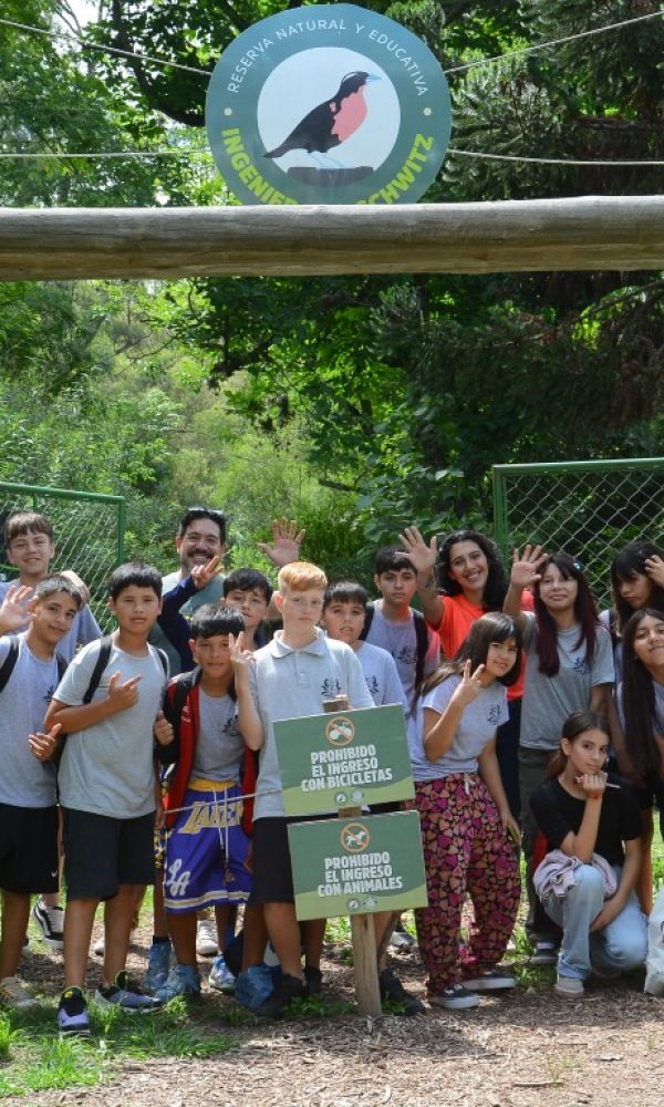 CARRUSEL ESCUELAS POR EL AMBIENTE (3)