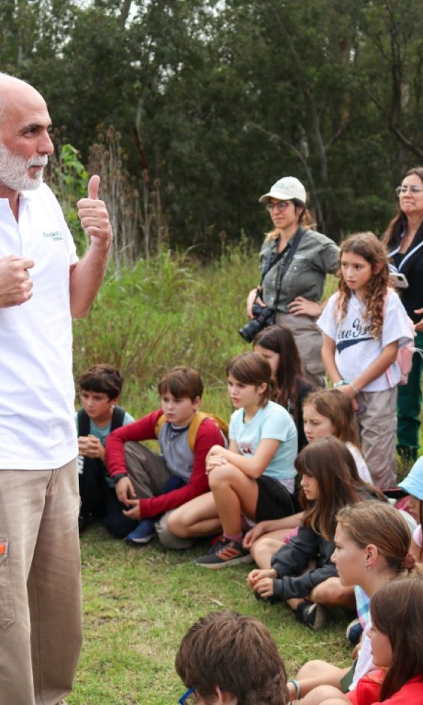 CARRUSEL ESCUELAS POR EL AMBIENTE (4)