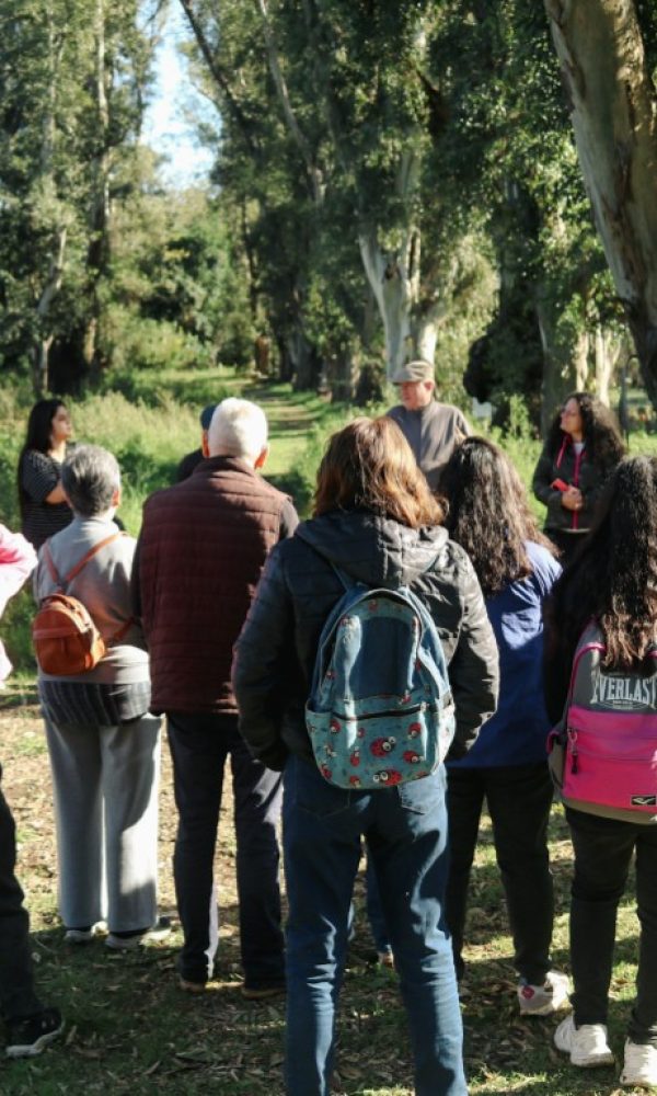 CARRUSEL RESERVA NATURAL EDUC (2)